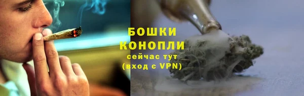 прущие крисы Беломорск