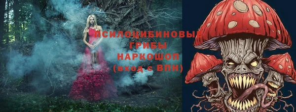 кристаллы Белокуриха