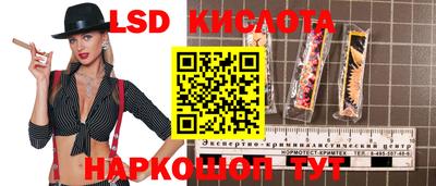 спайс Кандалакша