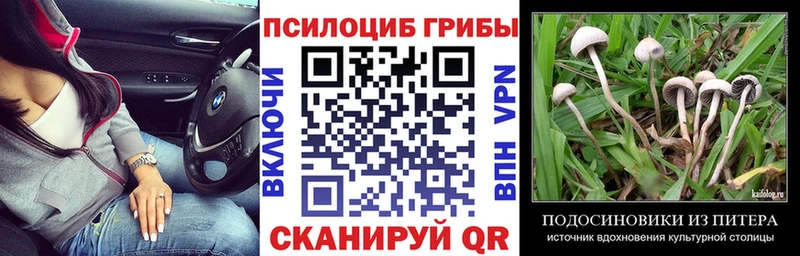 Псилоцибиновые грибы Cubensis  Обь 