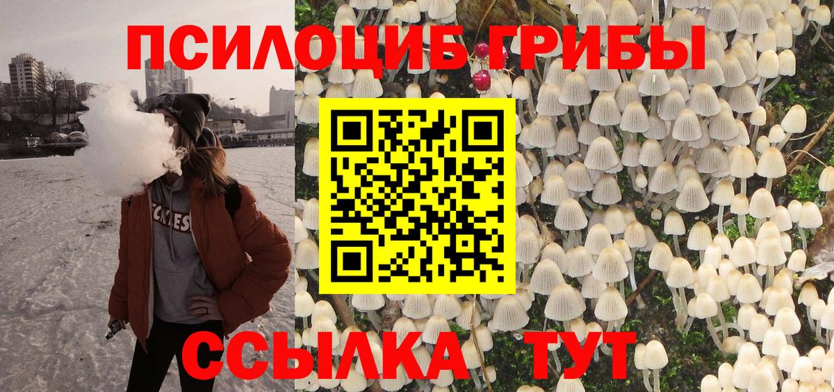 Псилоцибиновые грибы Cubensis Обь