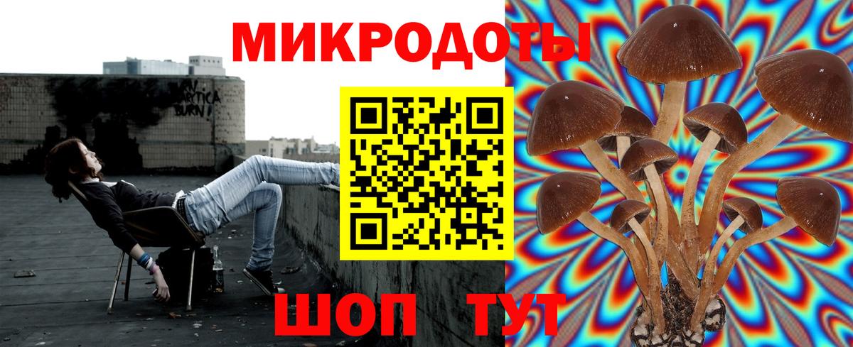 Обь  наркота  Галлюциногенные грибы мухоморы  Вход с VPN  Псилоцибиновые грибы прущие грибы 